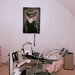 Receptionera,
